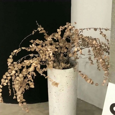 高邮福瑞交流群